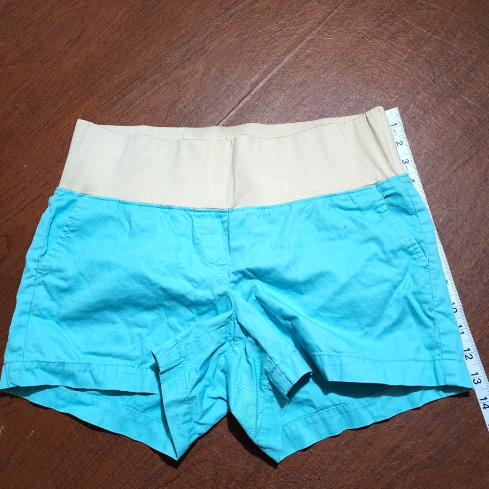 LOFT Shorts